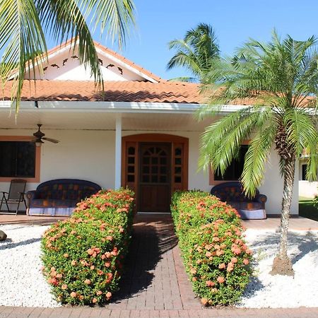 Villa Serenidad パケラ エクステリア 写真